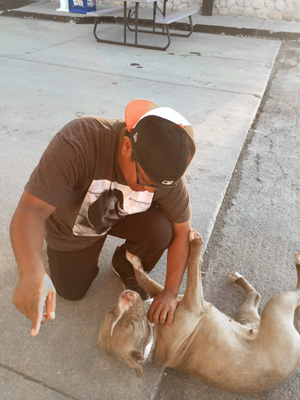 Indiana Gas Station Pittie